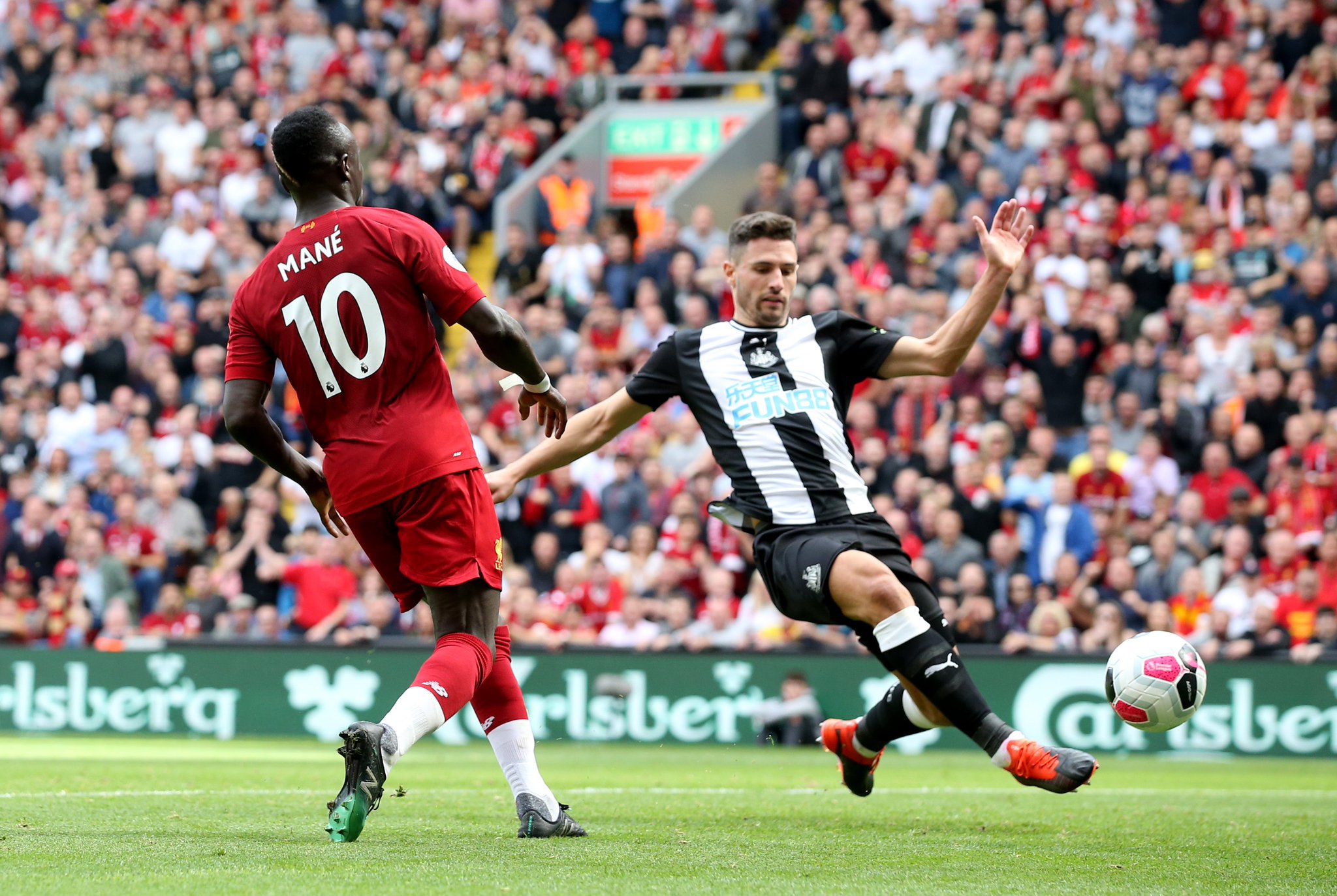 迷对科纳特 迷对科纳特